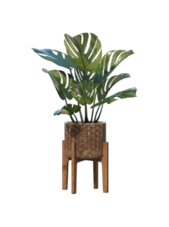 shop-lifestyle-bg-05