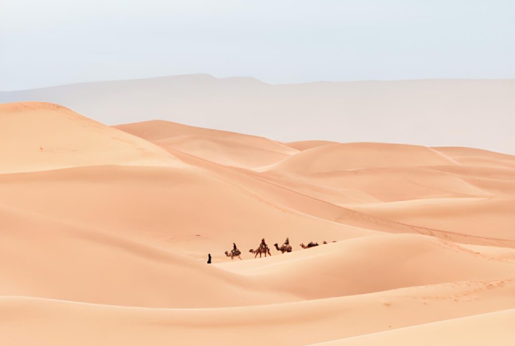 category-travel-bg-02