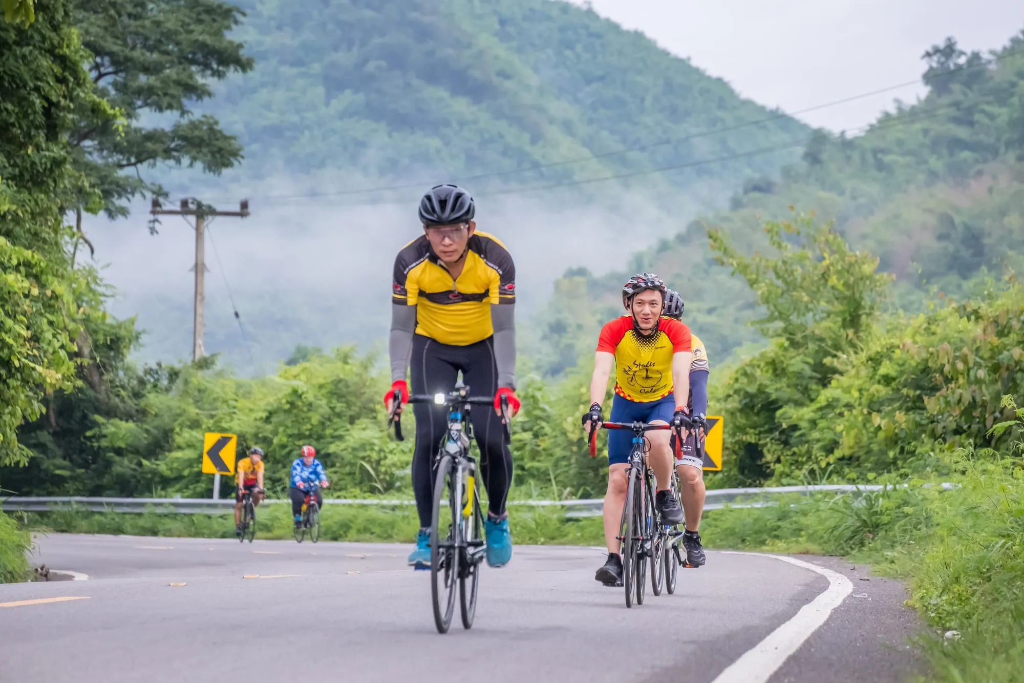 Bike Tours